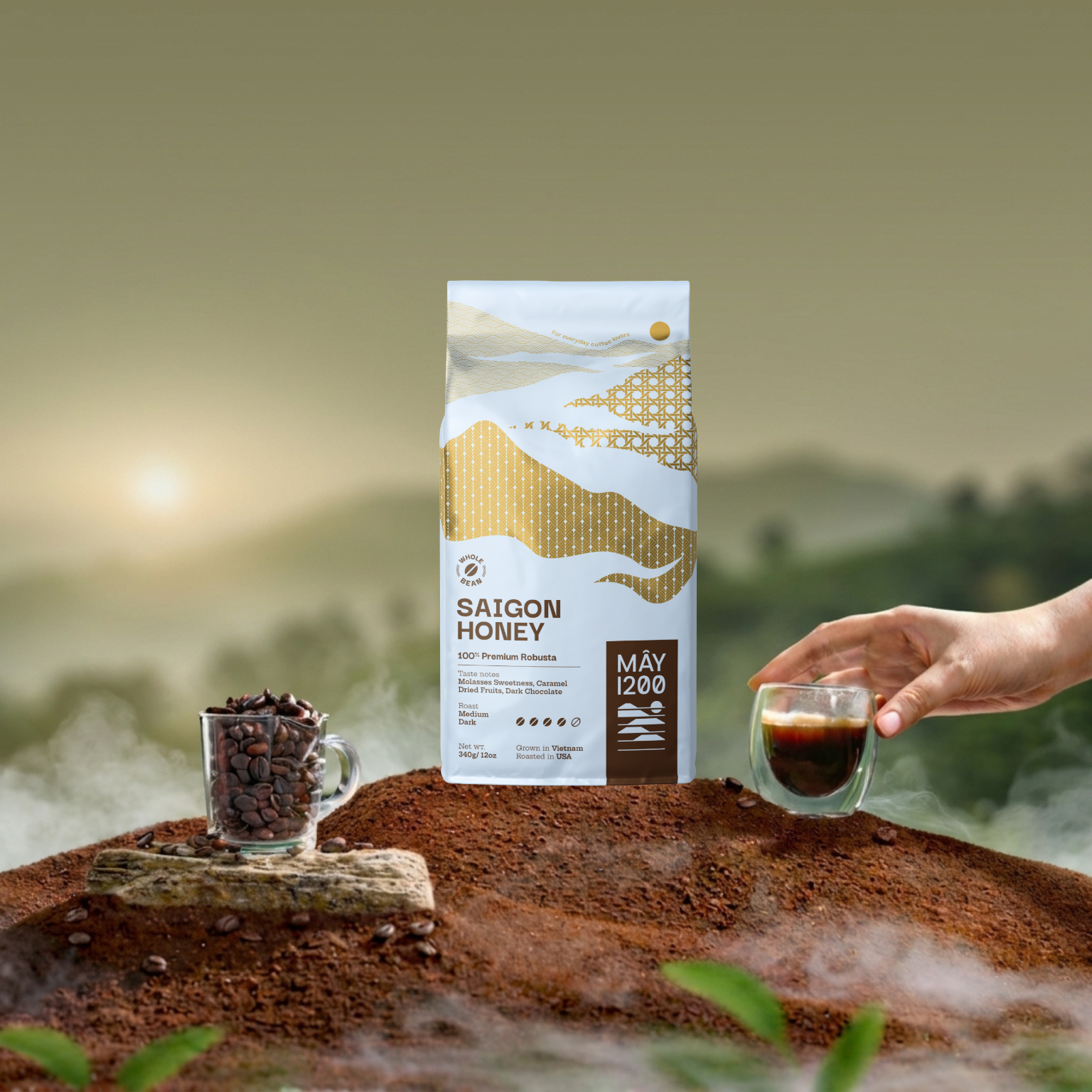 THREE SIDES OF ROBUSTA