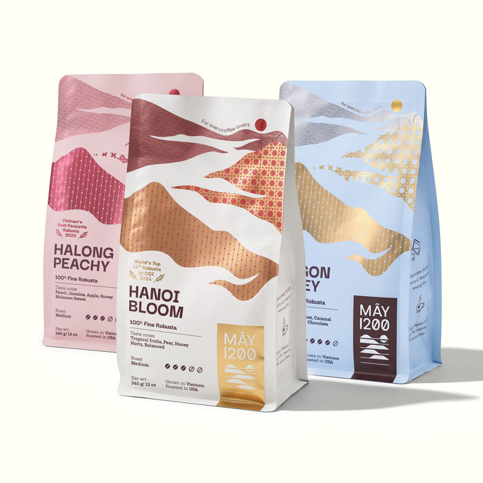 Three Sides Of Robusta