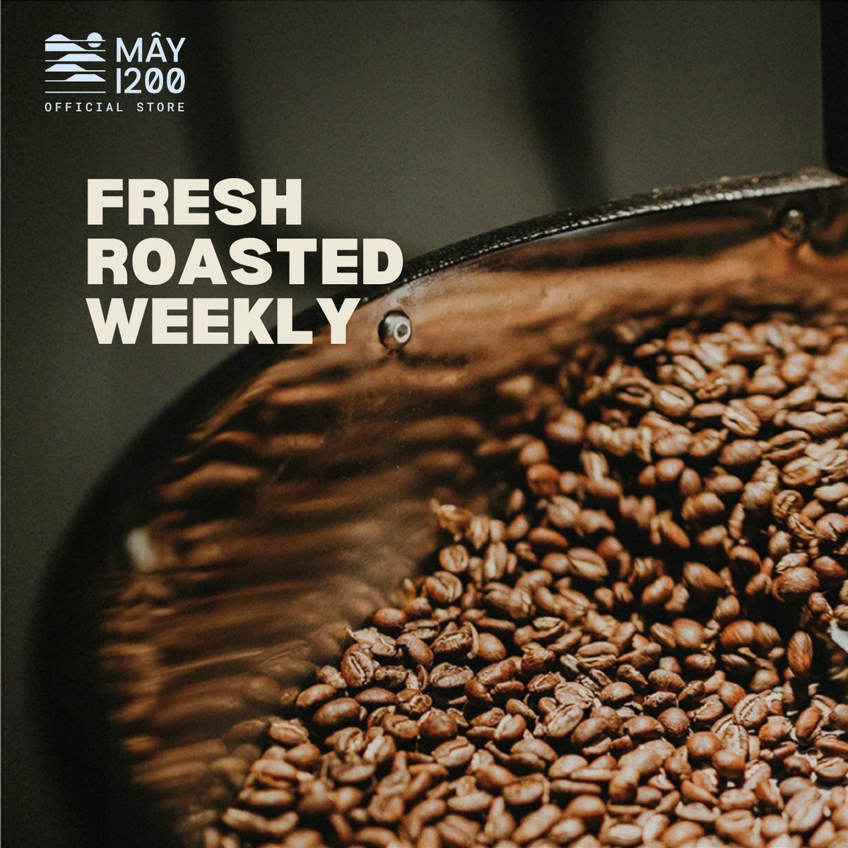 Wholesale Fine Robusta