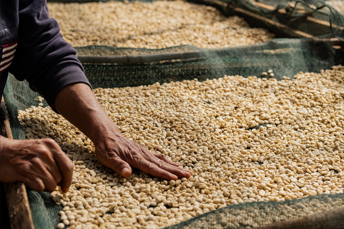 BEHIND THE BEANS