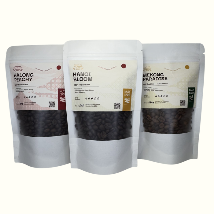 Barista Must-Try Kit