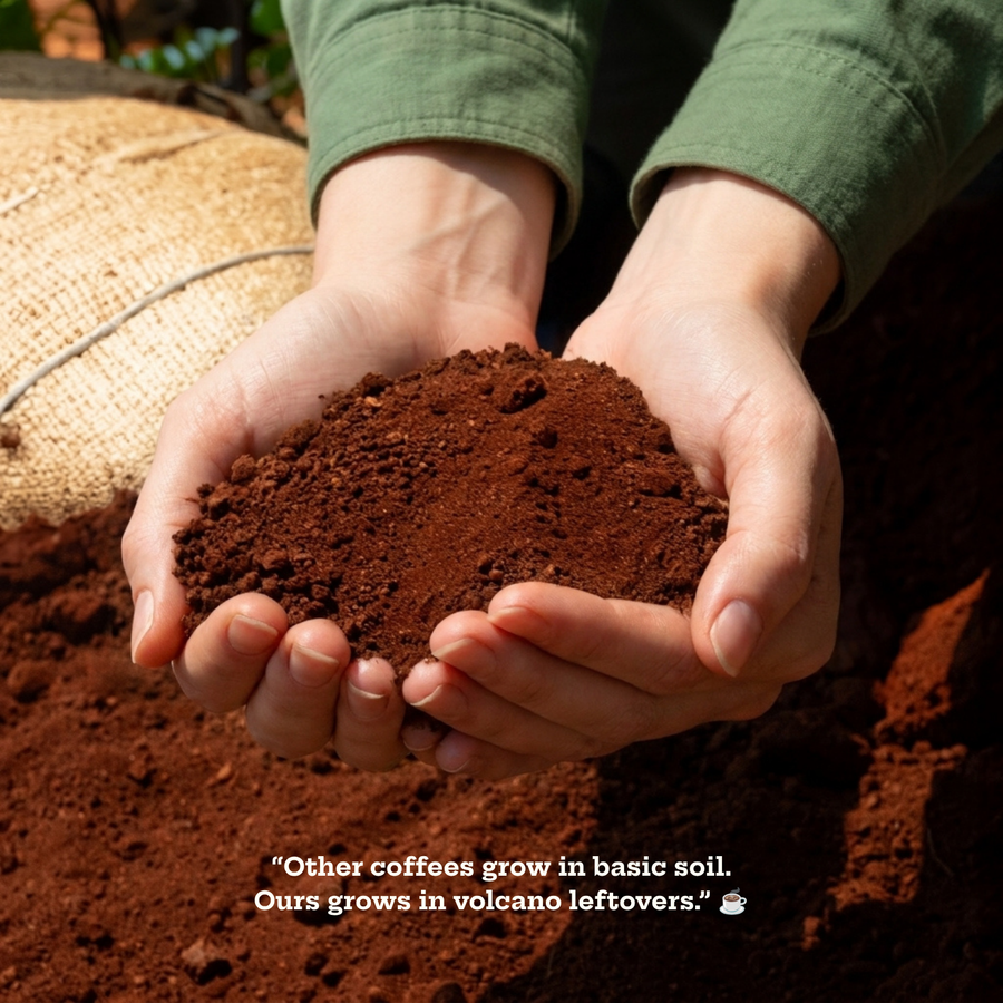 THE ROLE OF VOLCANIC SOIL